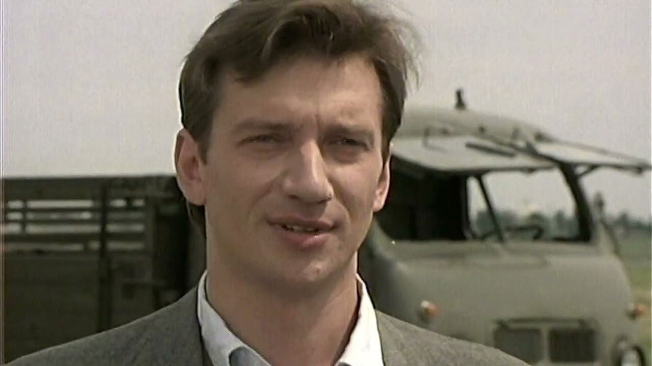 Letící delfín backdrop