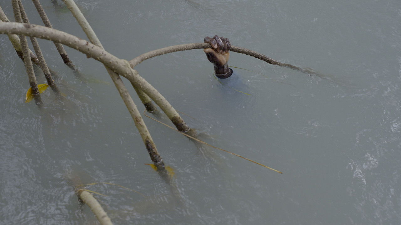 Mangrove School backdrop
