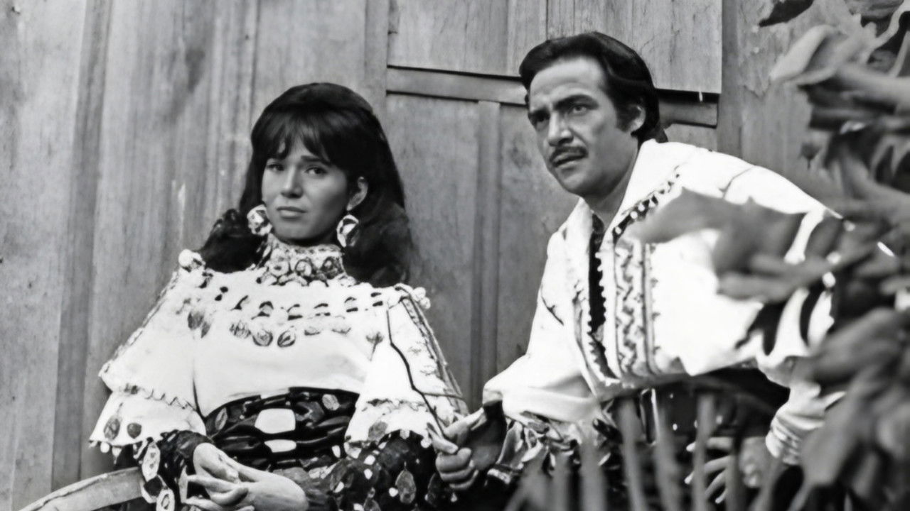 O Rei dos Ciganos backdrop