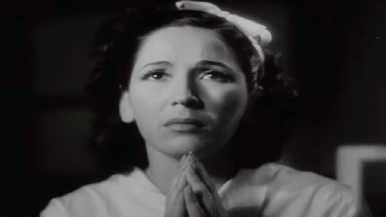 Pájaros sin nido backdrop