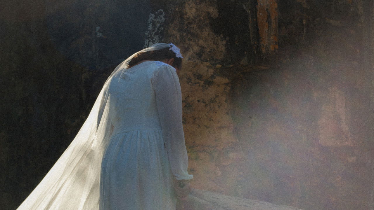 João-de-Barro backdrop