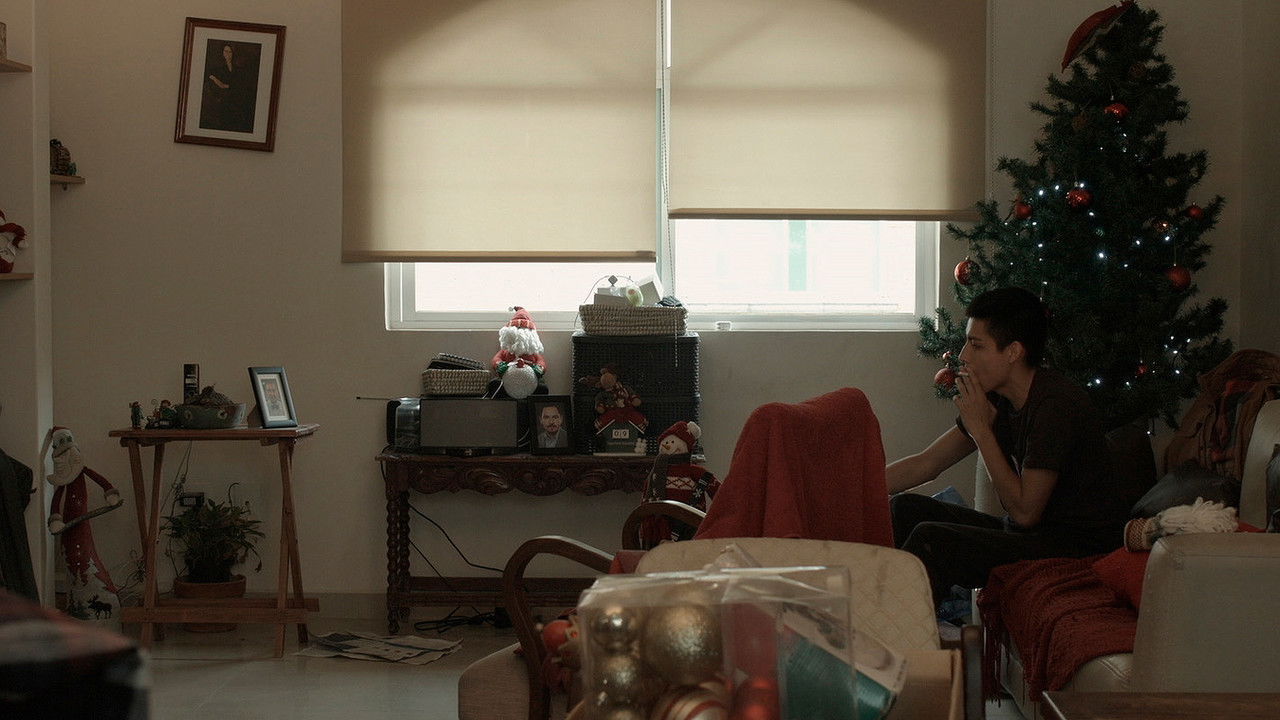 Luces de navidad o de la paloma y el perro backdrop