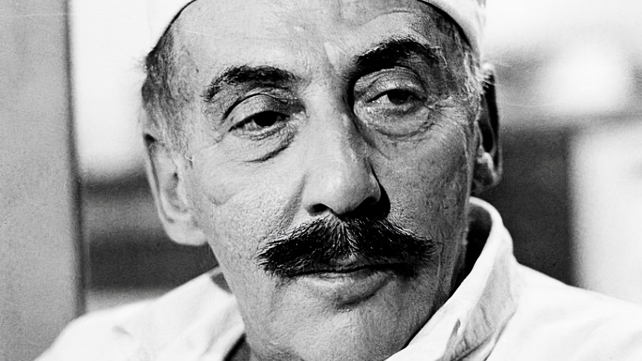 Cesta na Borneo backdrop