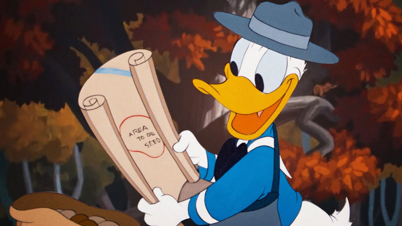 Duck Flies Coop backdrop