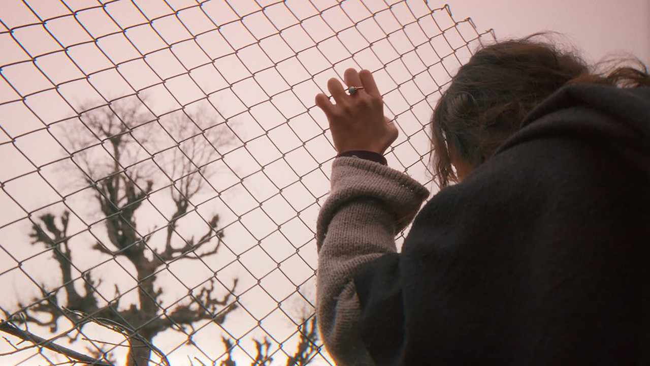 Wisdom of the Whale backdrop