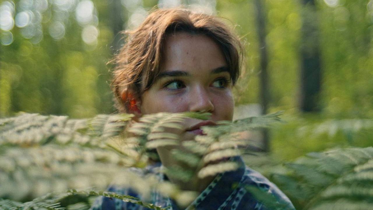 Blueberry Summer backdrop