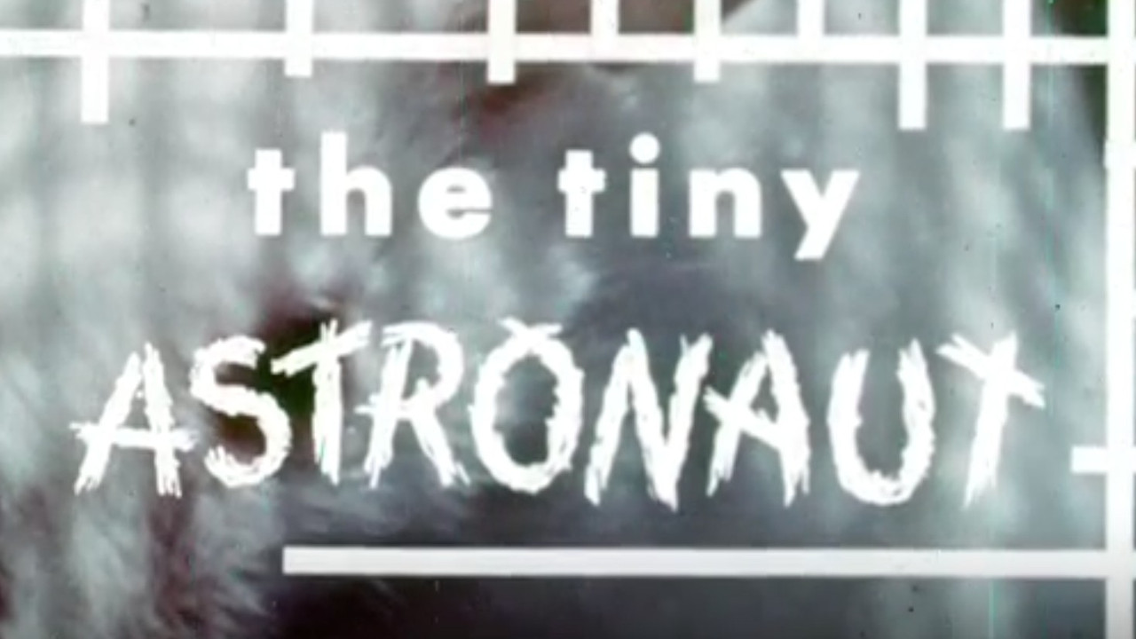 The Tiny Astronaut backdrop