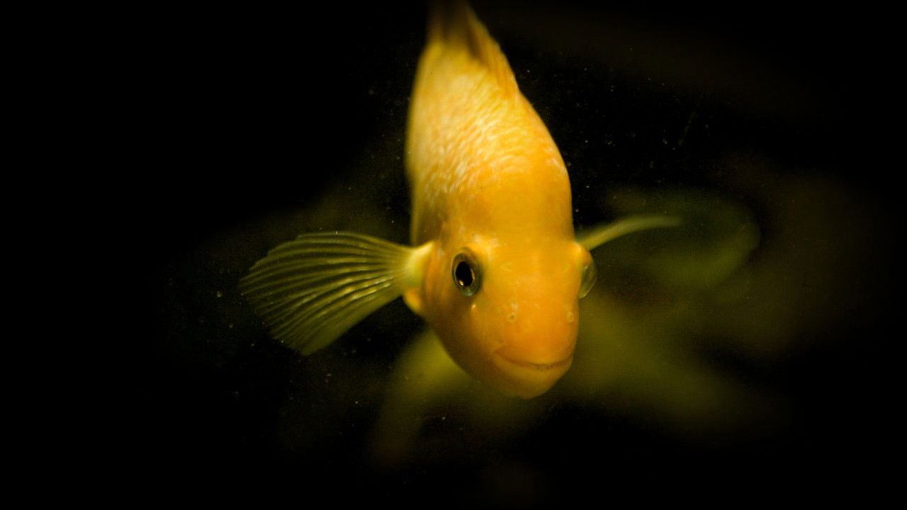 Taking Stock backdrop