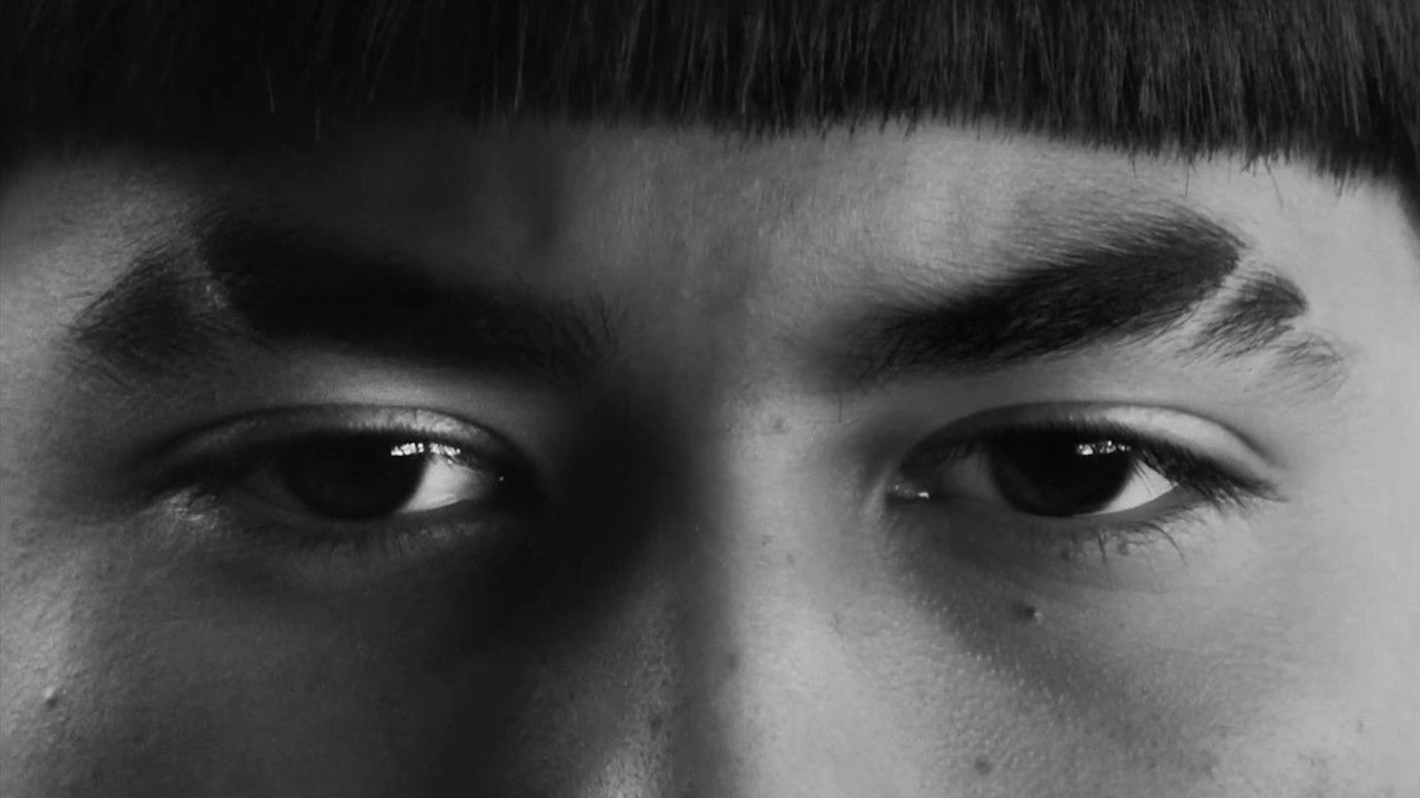 Shut Up & Fish backdrop