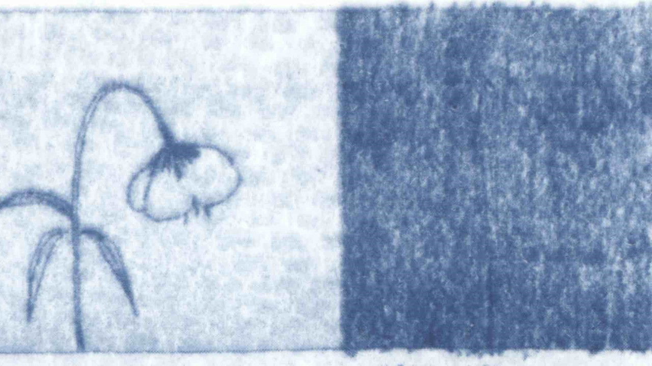 Blue Dreams of the Wind backdrop