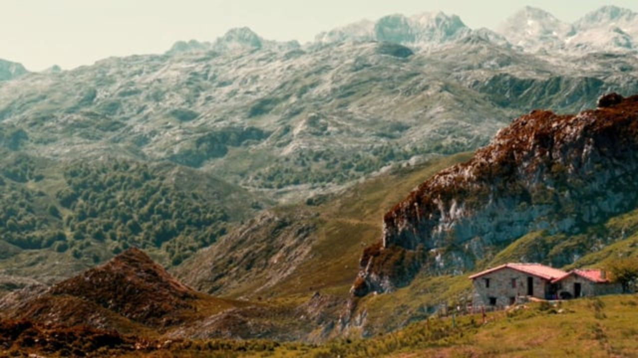 Savages: The Wolf's Tale backdrop