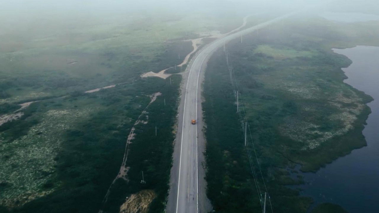 Blueberries for Iris backdrop
