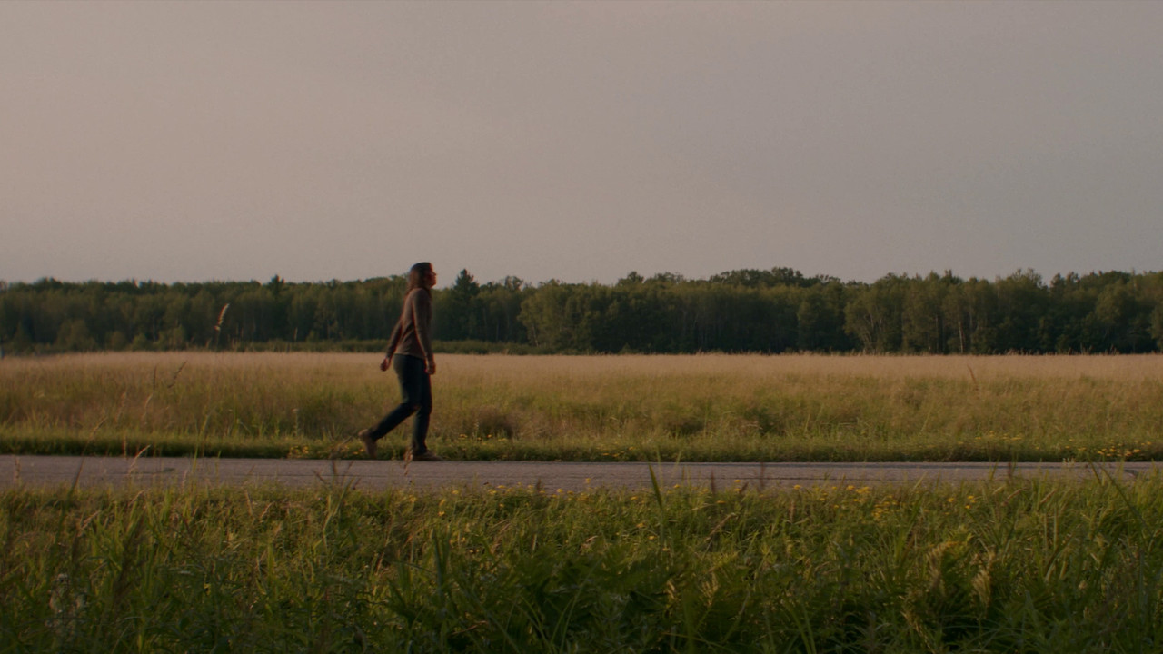 Blossom Needs A Ride Home backdrop