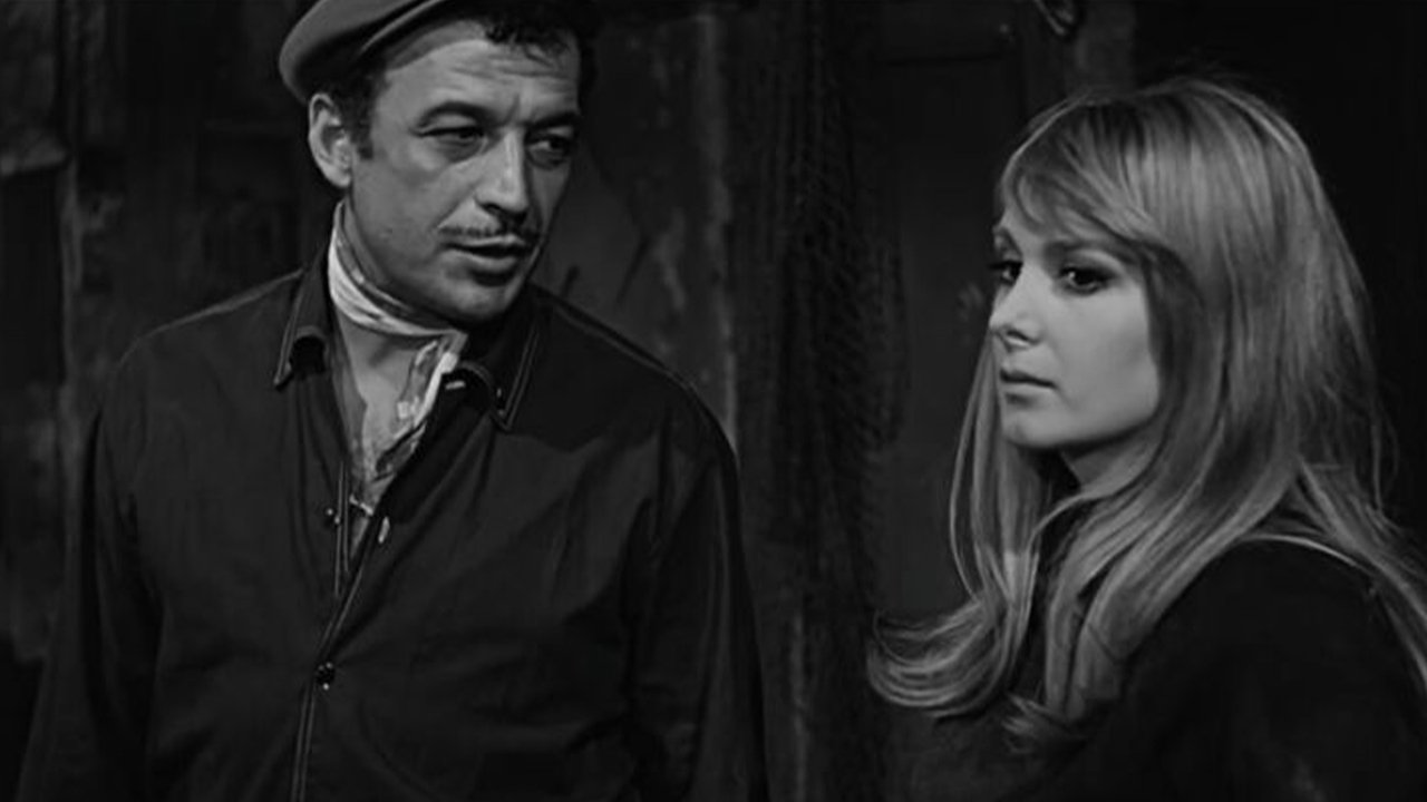 Efkârlıyım Abiler backdrop