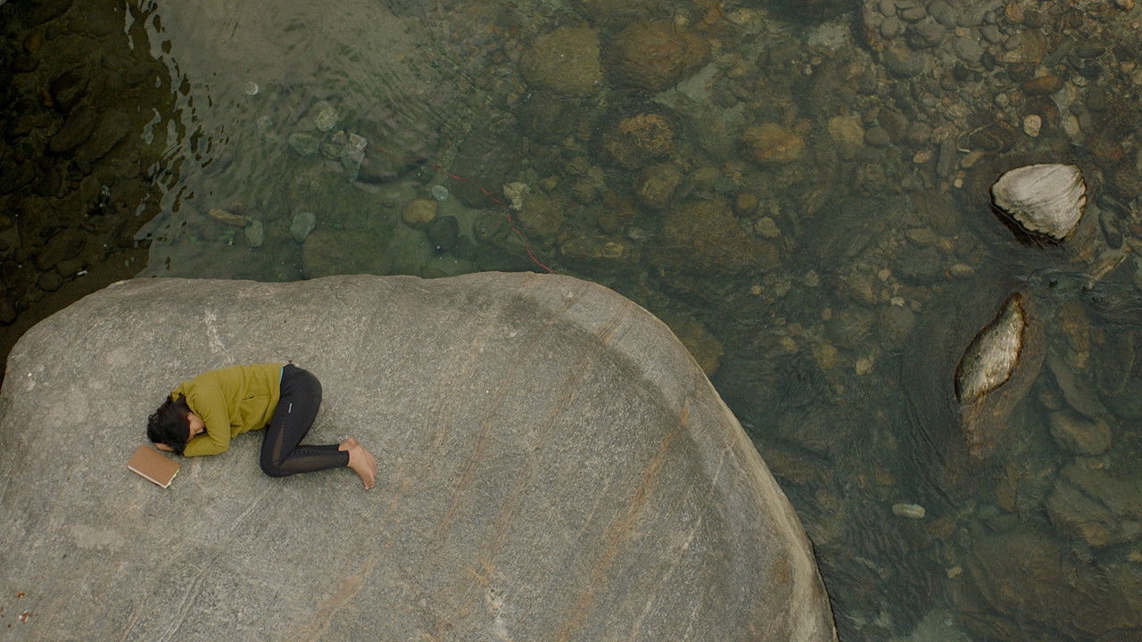 Shape of Momo backdrop