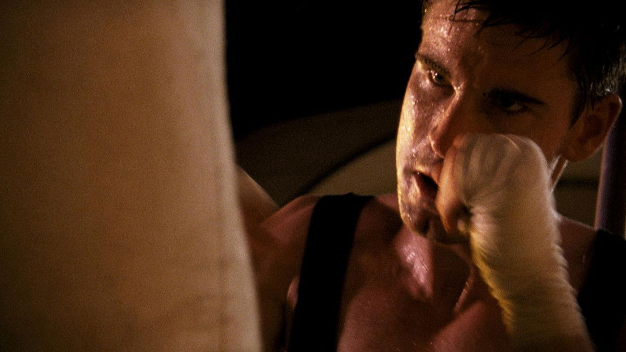 Koning van de Wereld backdrop