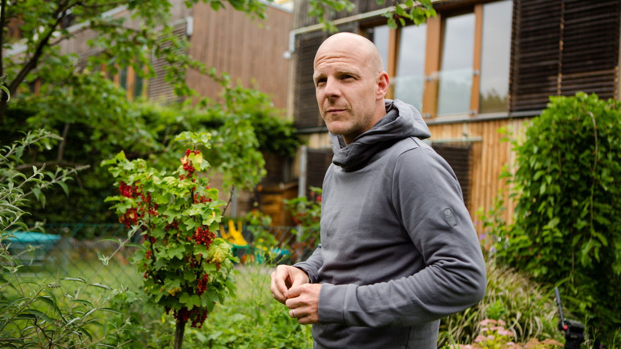 Ferdinandovy zahrady backdrop