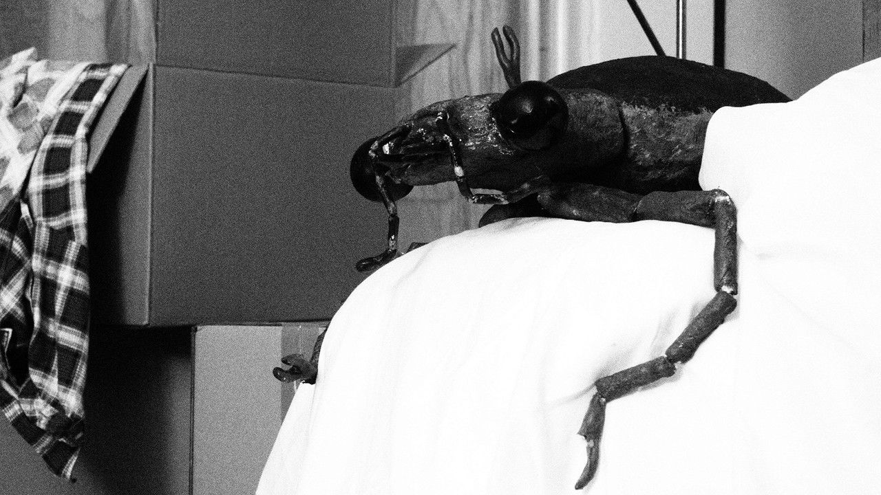 Bug in the Bathtub backdrop