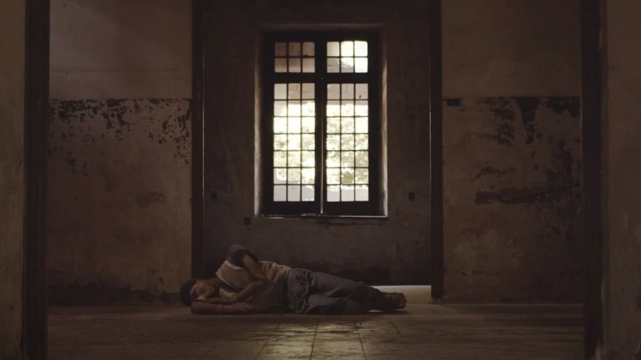 Anima Animae Animam backdrop