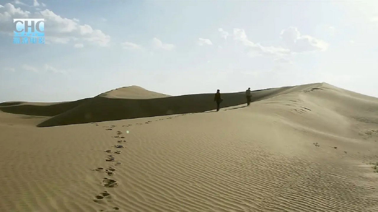 野狐梁的女人 backdrop