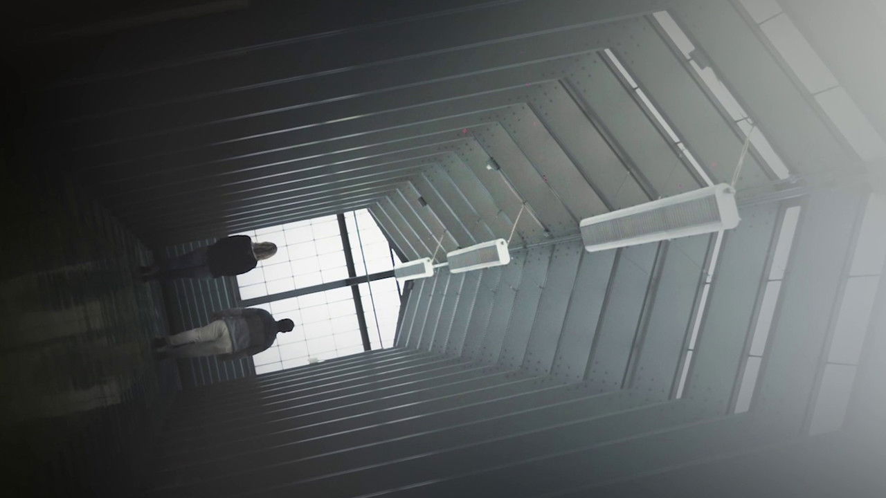 The Human Condition backdrop