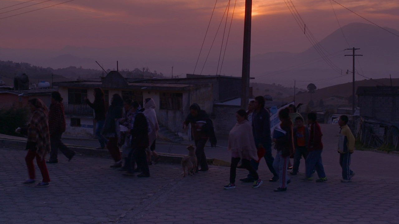 VII Domitilas backdrop