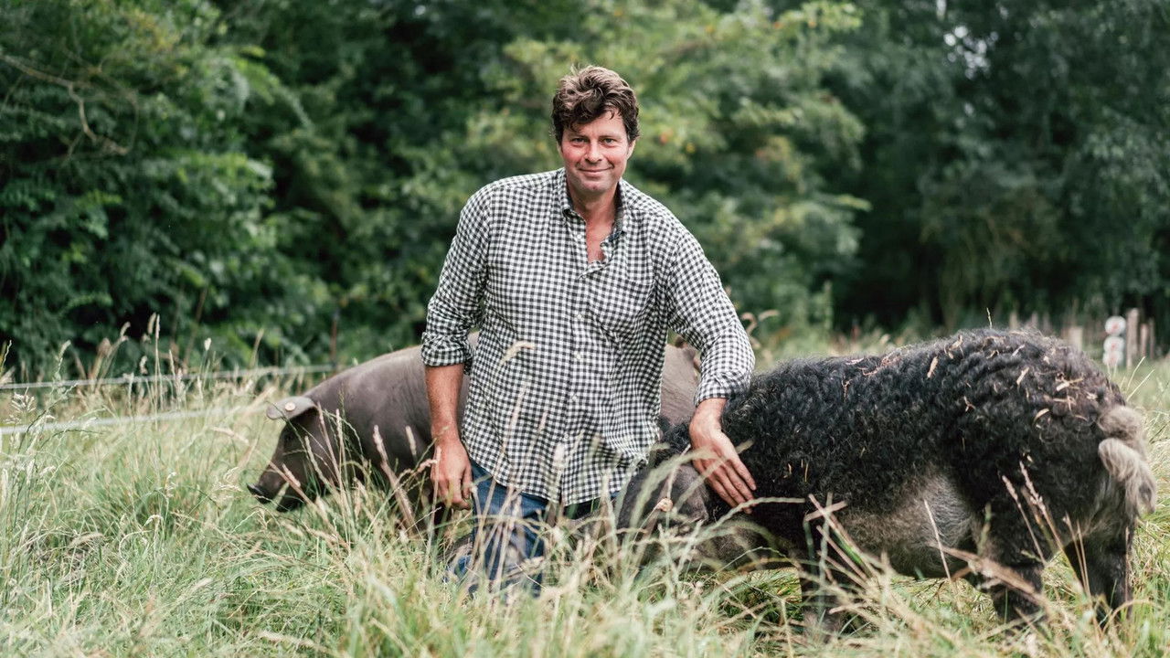 Het goeie leven backdrop