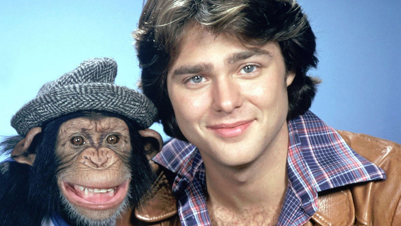 B.J. and the Bear backdrop