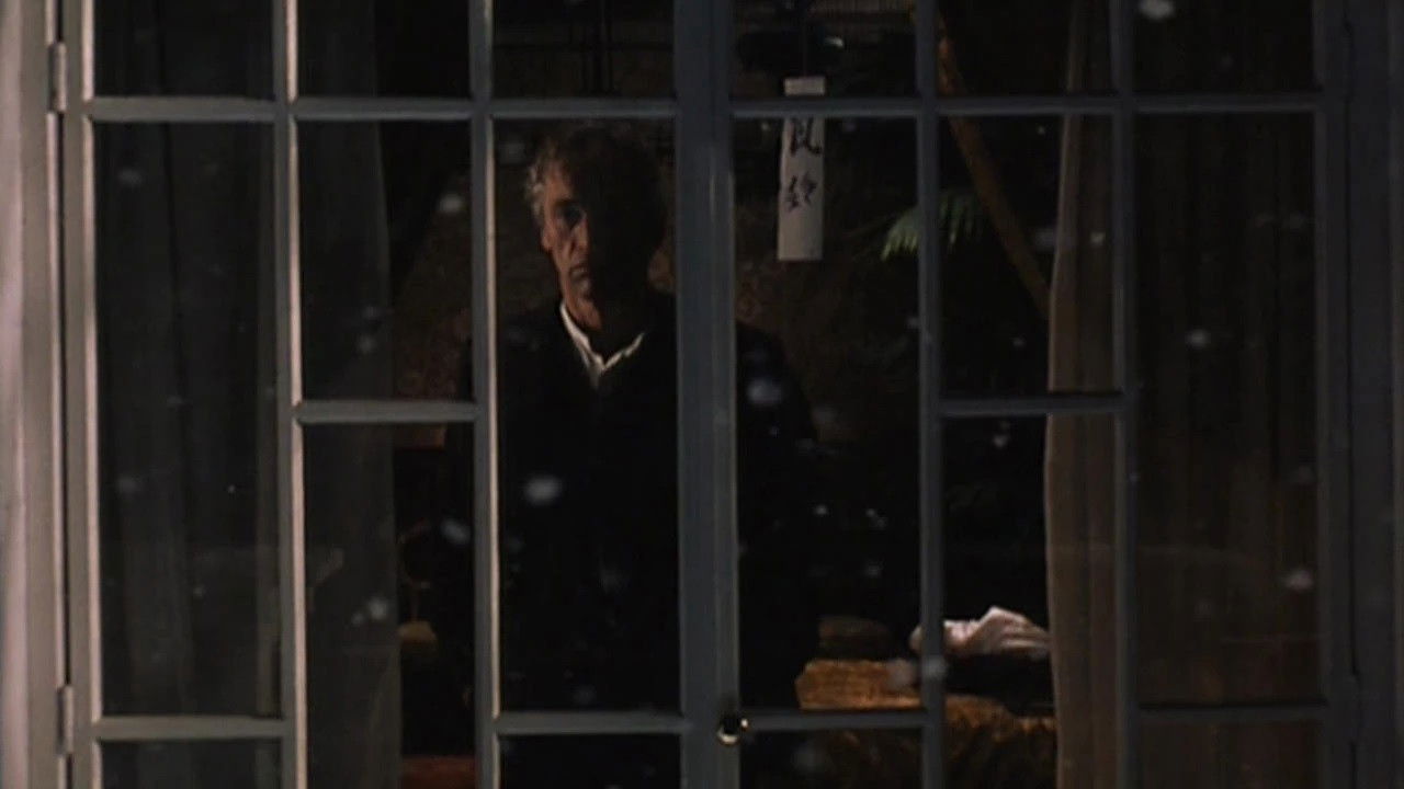 Felice… Felice… backdrop