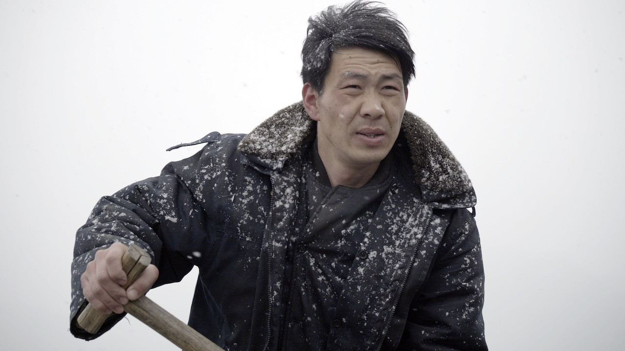 Another Brick On The Wall backdrop