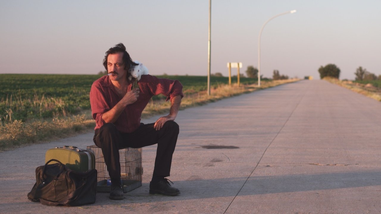 A Moonless Night backdrop