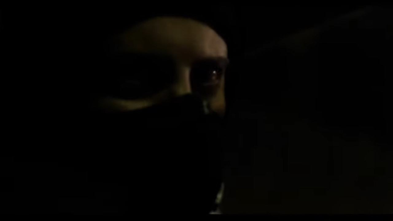 The Witness backdrop