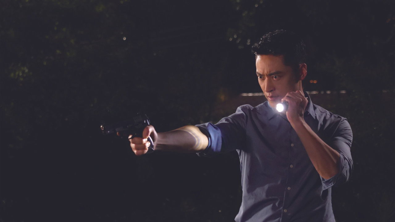 Chasing Mystery Crime backdrop