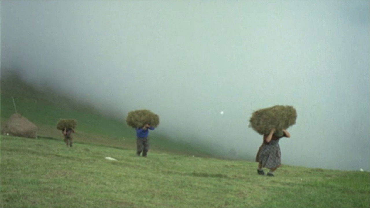 La montagna del sole backdrop