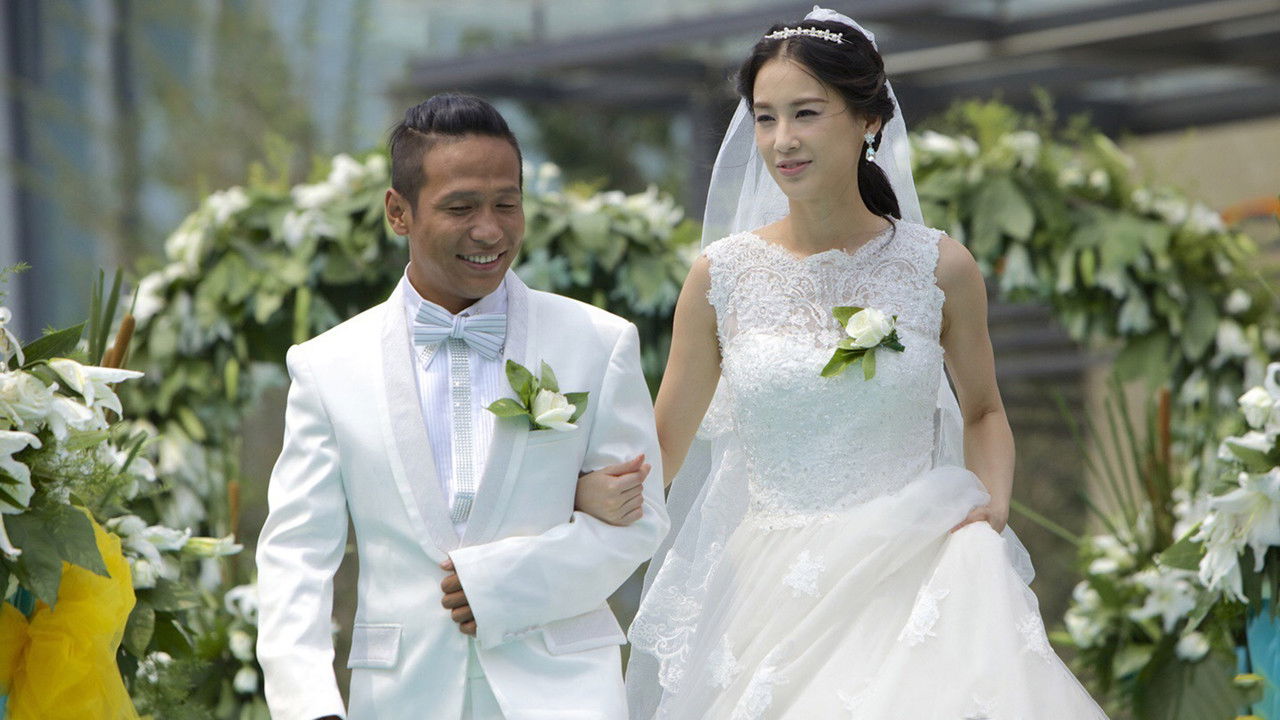 第22条婚规2 backdrop