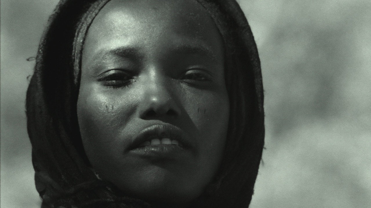 Tibesti Too backdrop