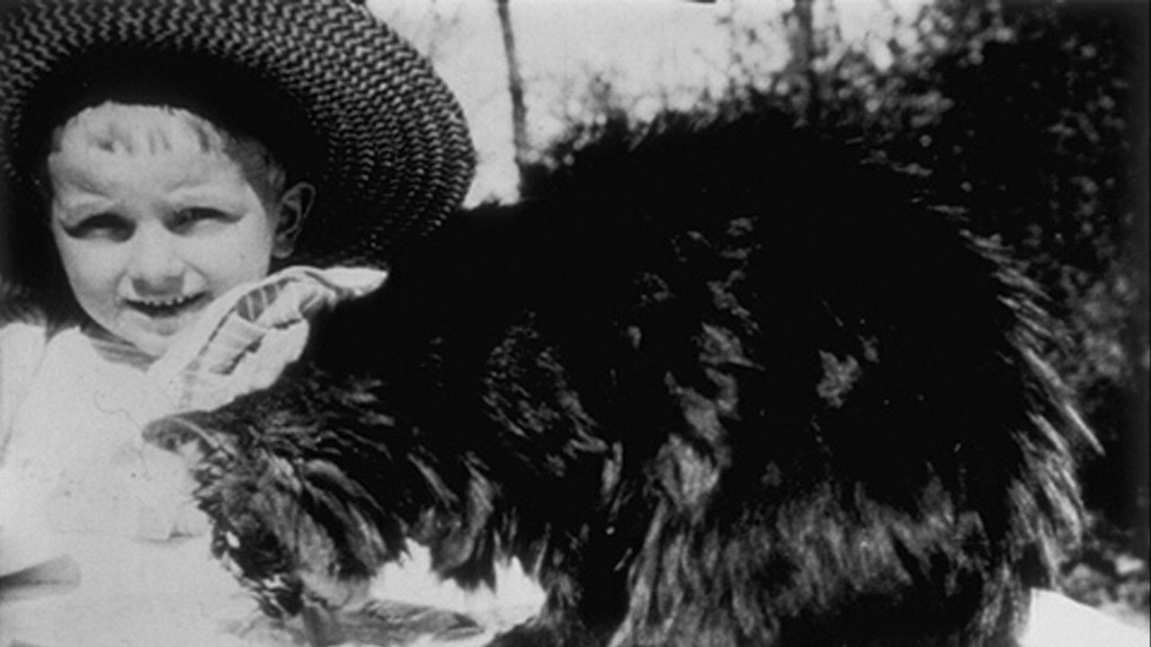 Déjeuner du Chat backdrop