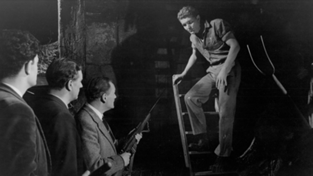 Life in Danger backdrop