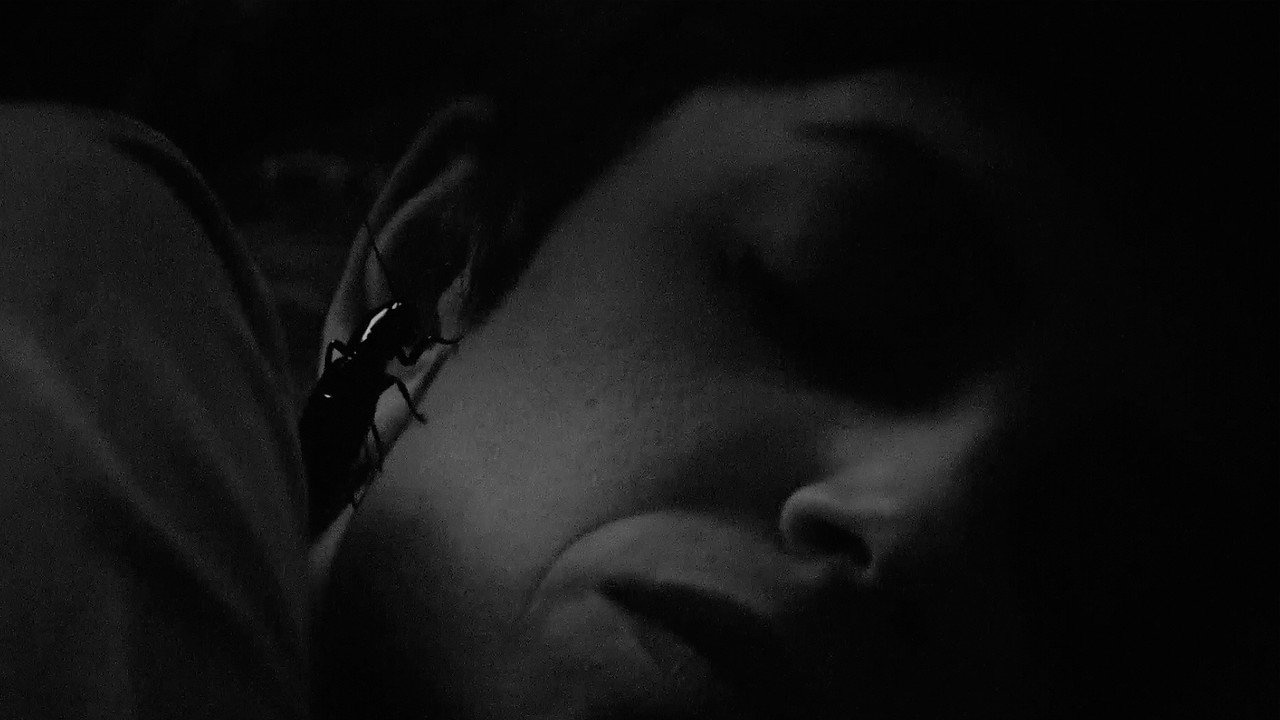 La resiliencia backdrop