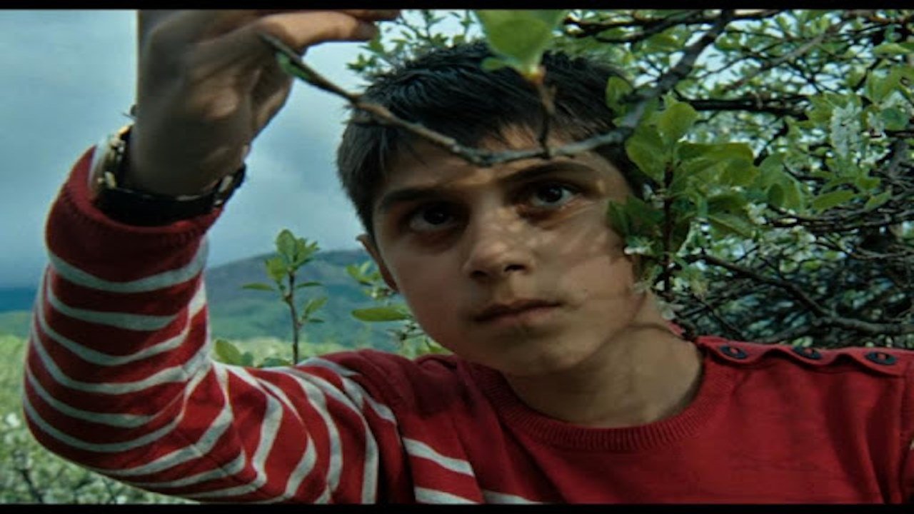 Matei Child Miner backdrop