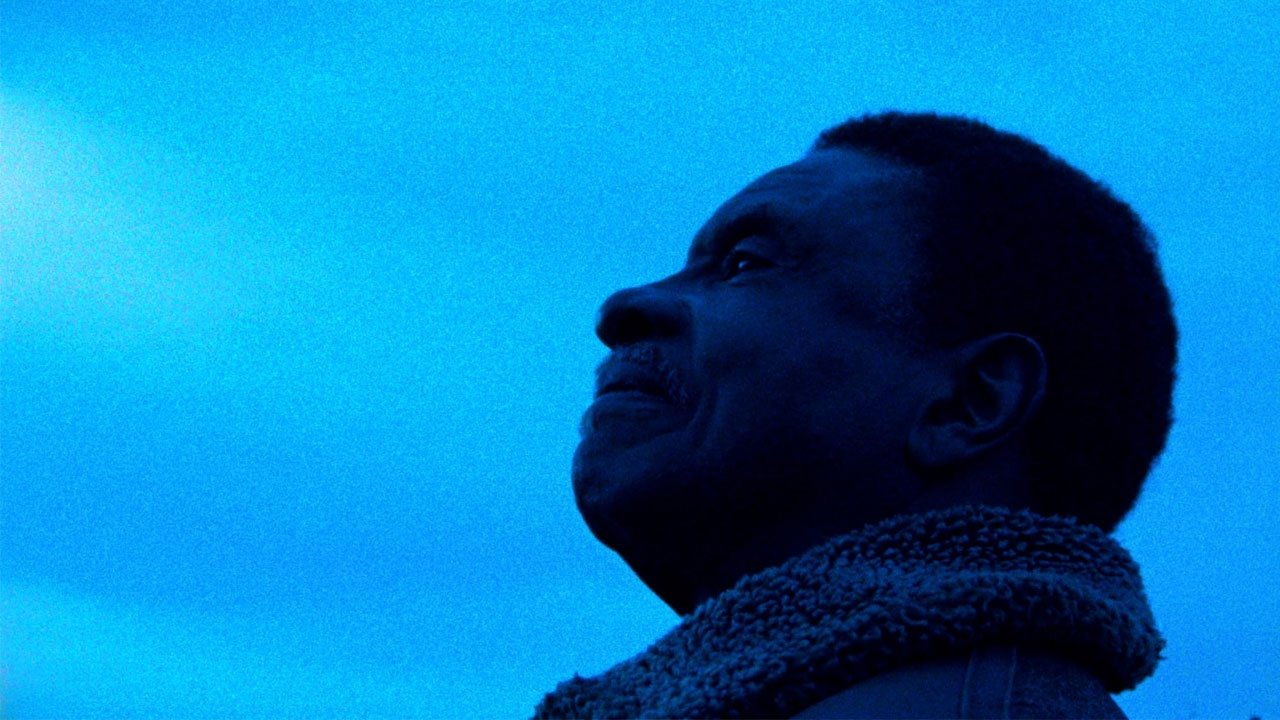 Betty & Blue backdrop