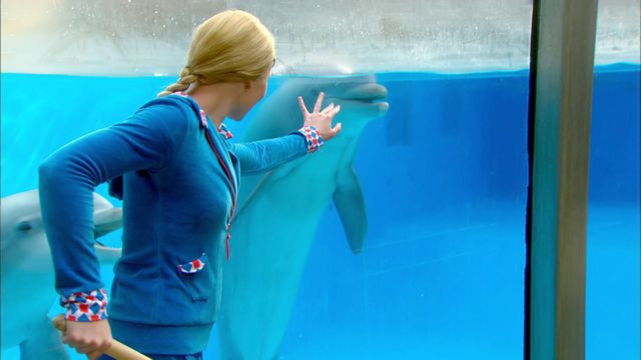 Mega Mindy: The Dolphin Robbery backdrop