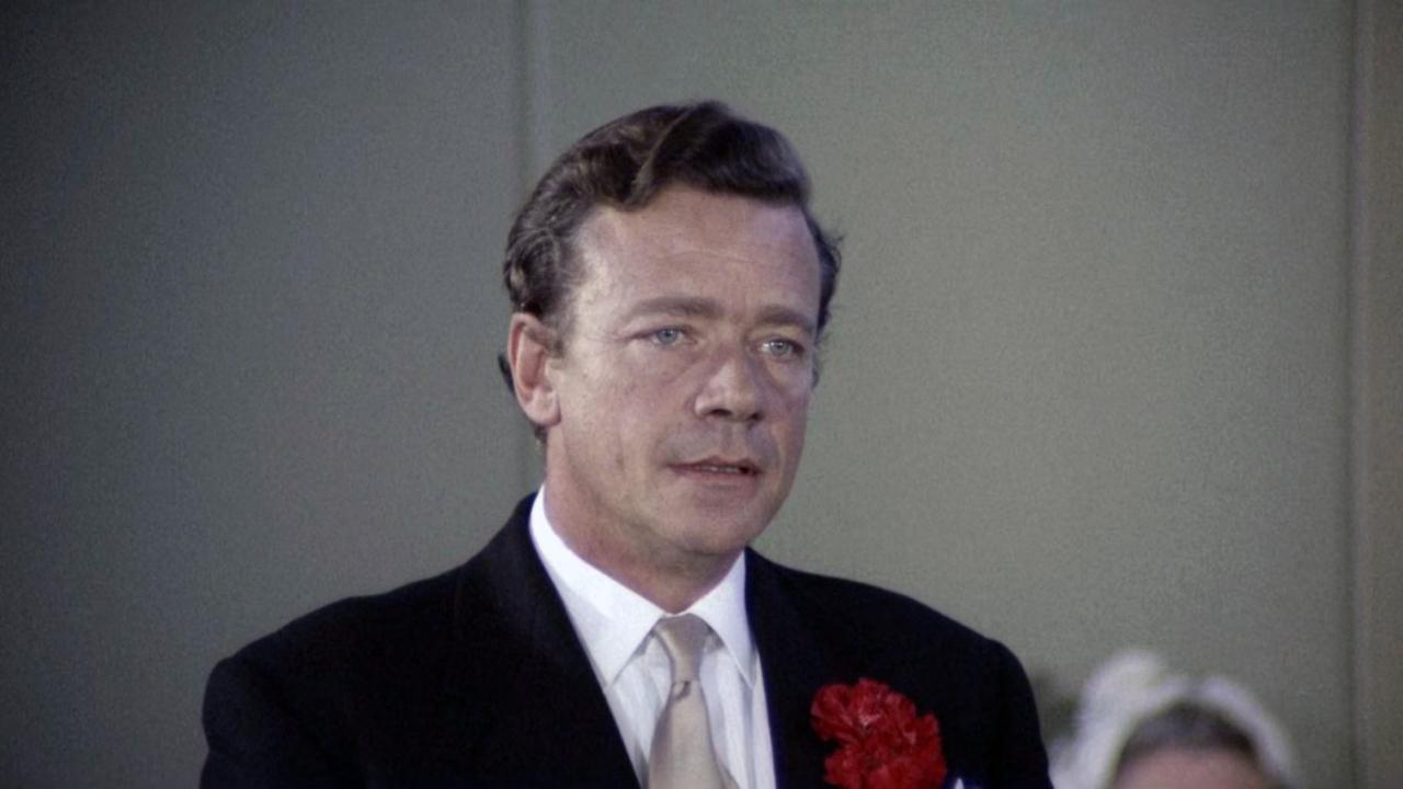 School for Sex backdrop