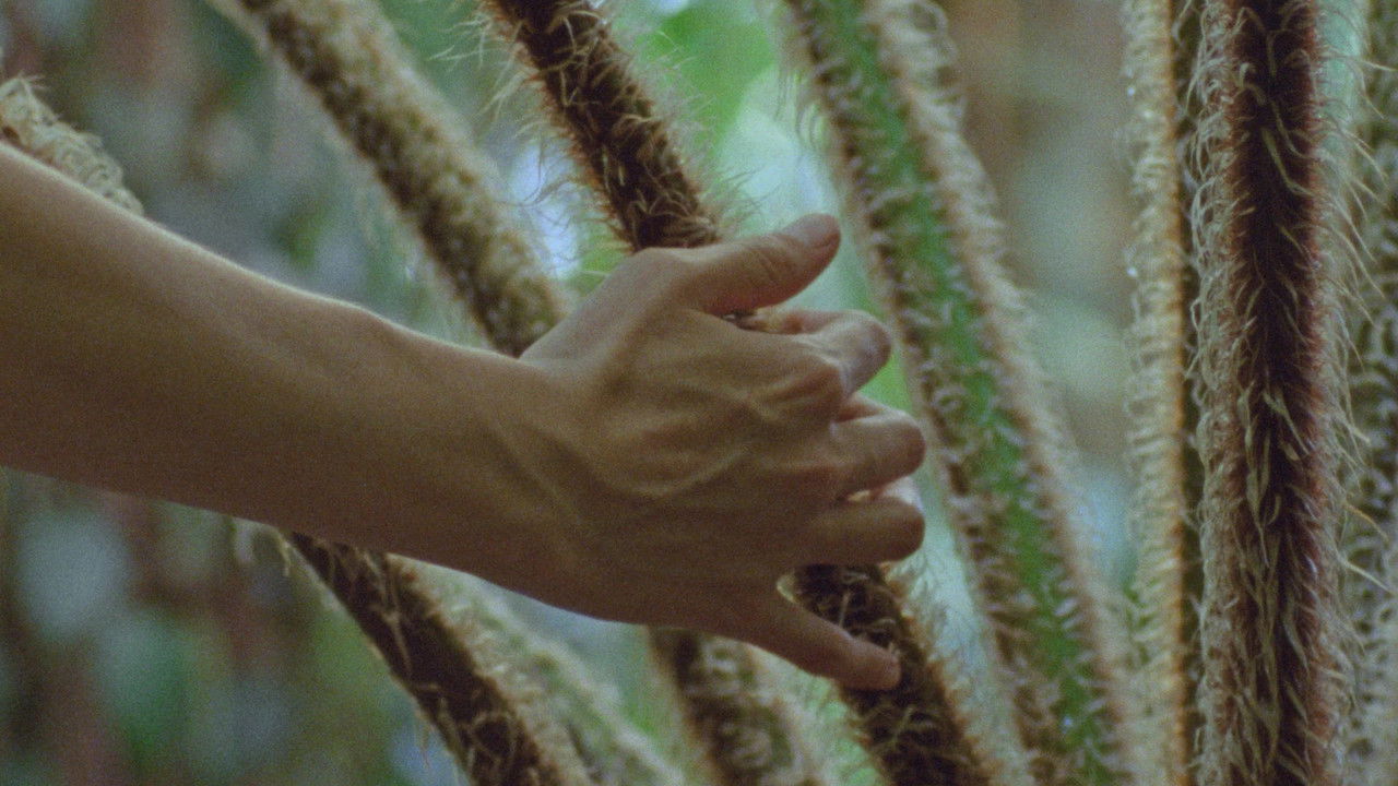 Estados generales backdrop