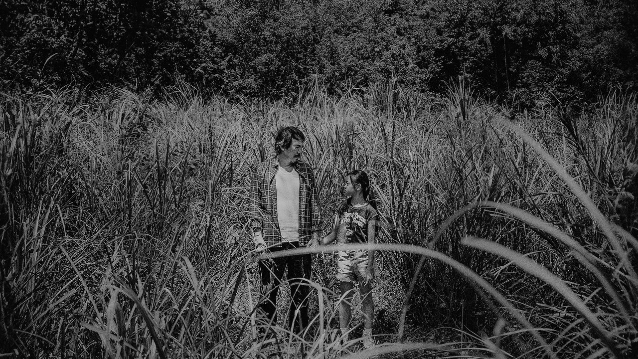 The Black Dog backdrop