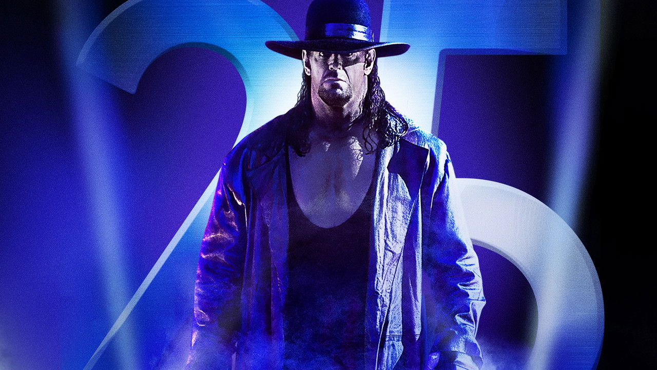 WWE Survivor Series 2015 backdrop