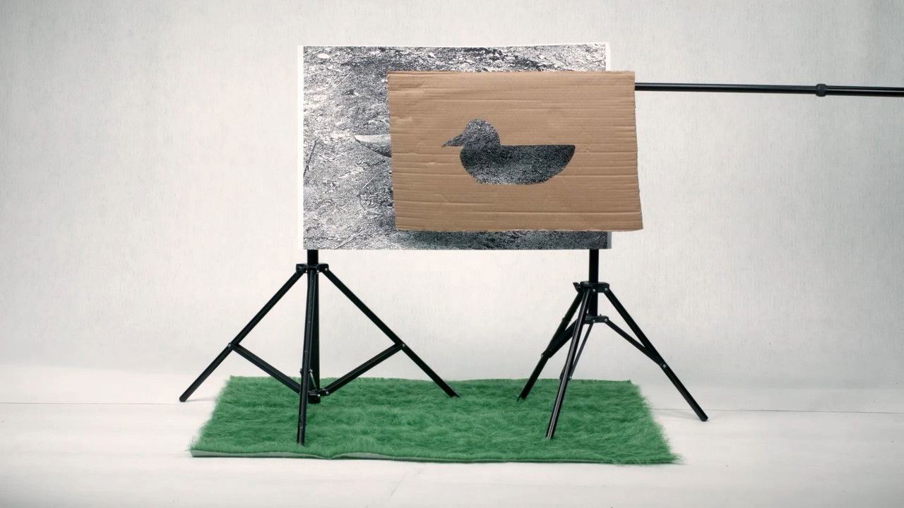 Special Works School backdrop