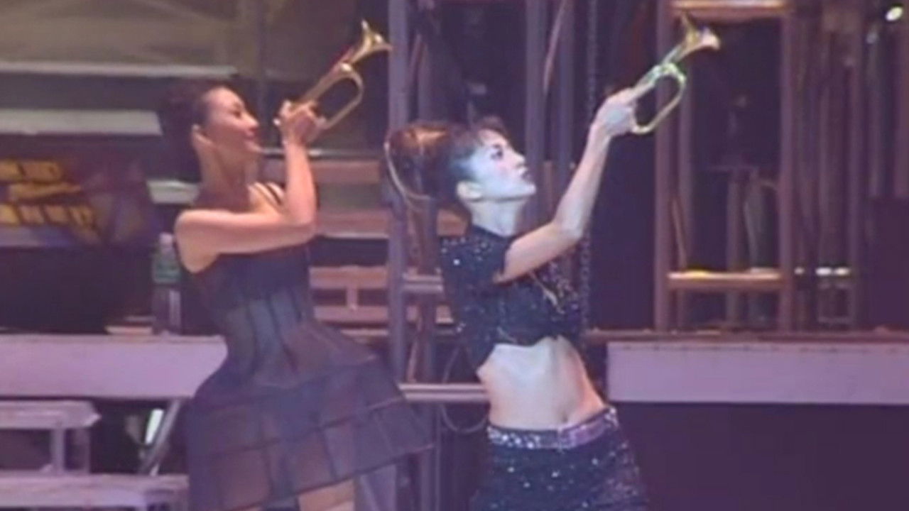 梅艳芳一个美丽的回响演唱会 backdrop