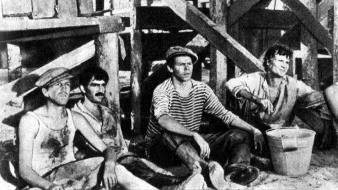 Color of Gold backdrop