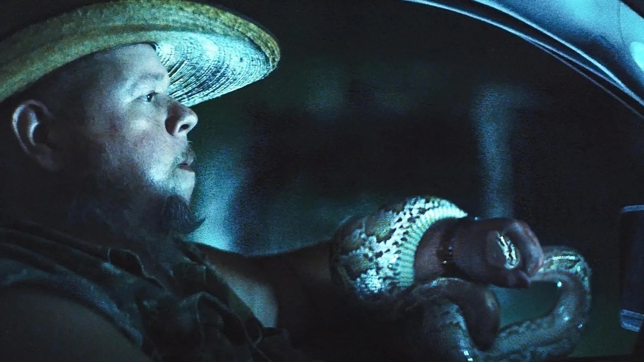 The Python Hunt backdrop